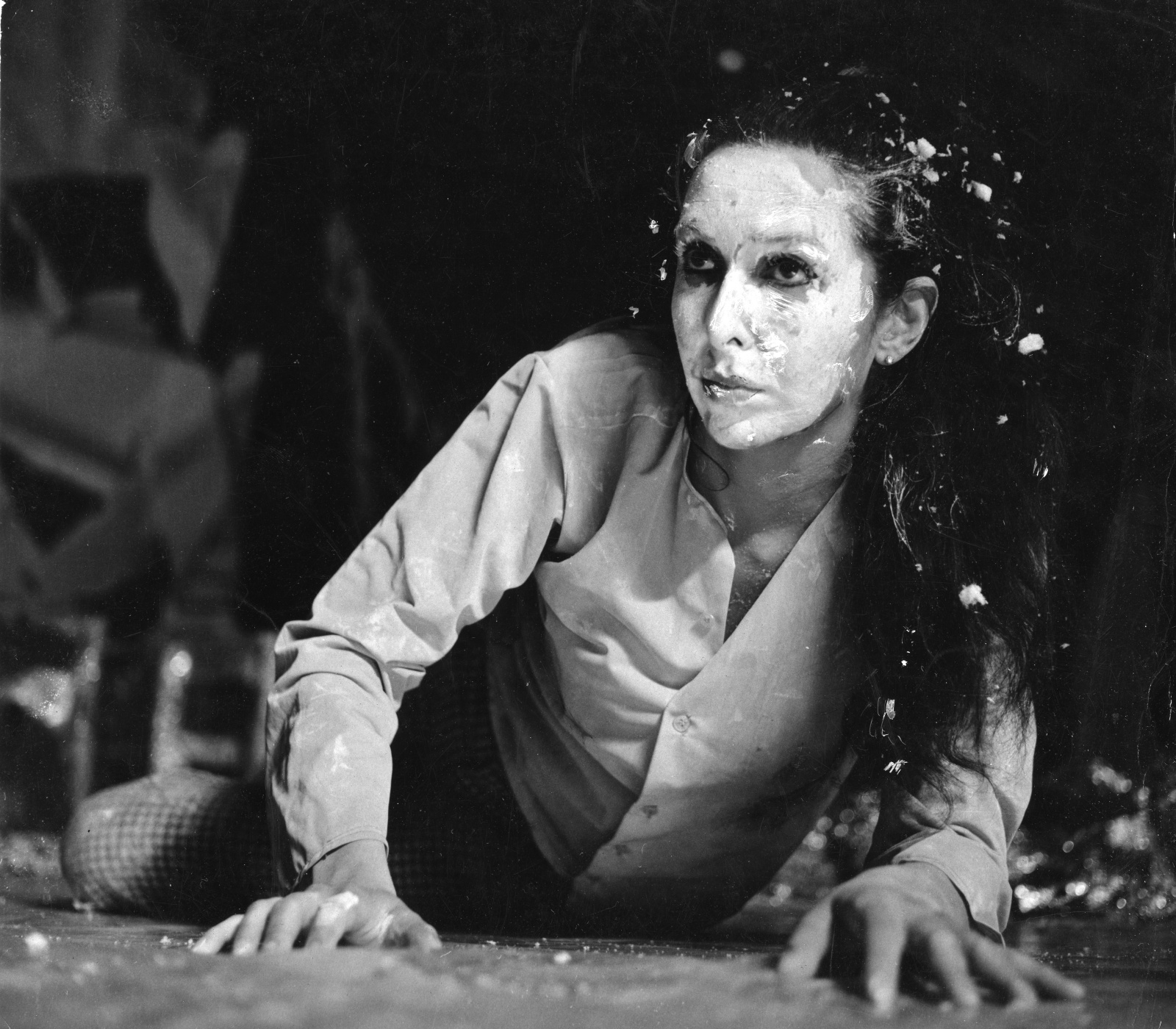 Carolee Schneemann Net Worth