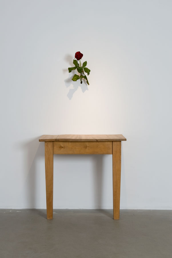 Stůl a růže / Stół i róża, (2008). Dzięki uprzejmości artysty