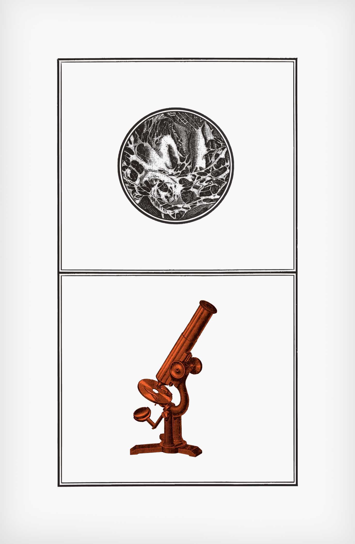 "Przeddmiot falliczny", ilustracja z książki "Corpus Delicti" Jakuba Mikurdy i Jakuba Woynarowskiego, grafika: Jakub Woynarowski