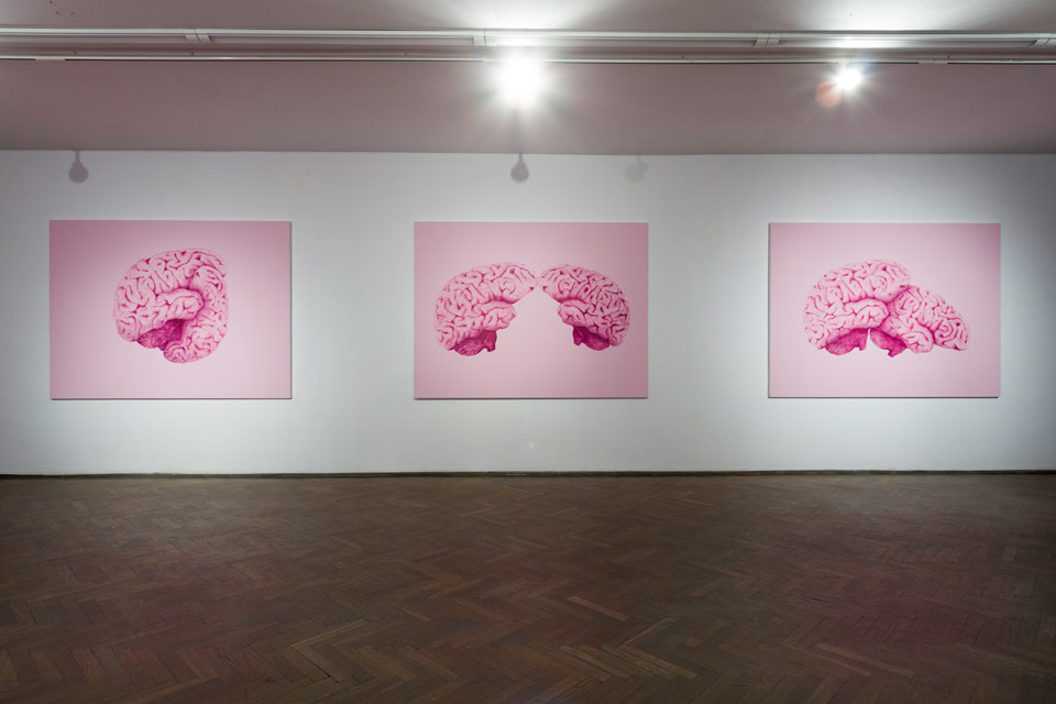 Ada Karczmarczyk, "Brains", akryl na płótnie, marker, 2014