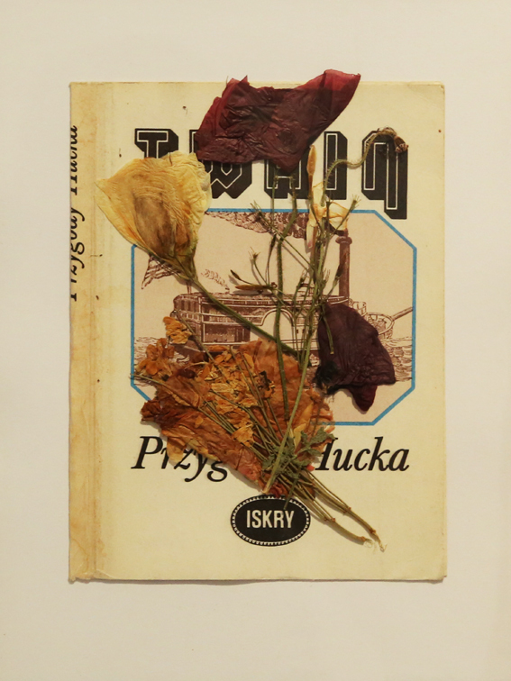 Bez tytułu, 2014  seria kolaży, okładki książek, suszone rośliny, 20x15 cm