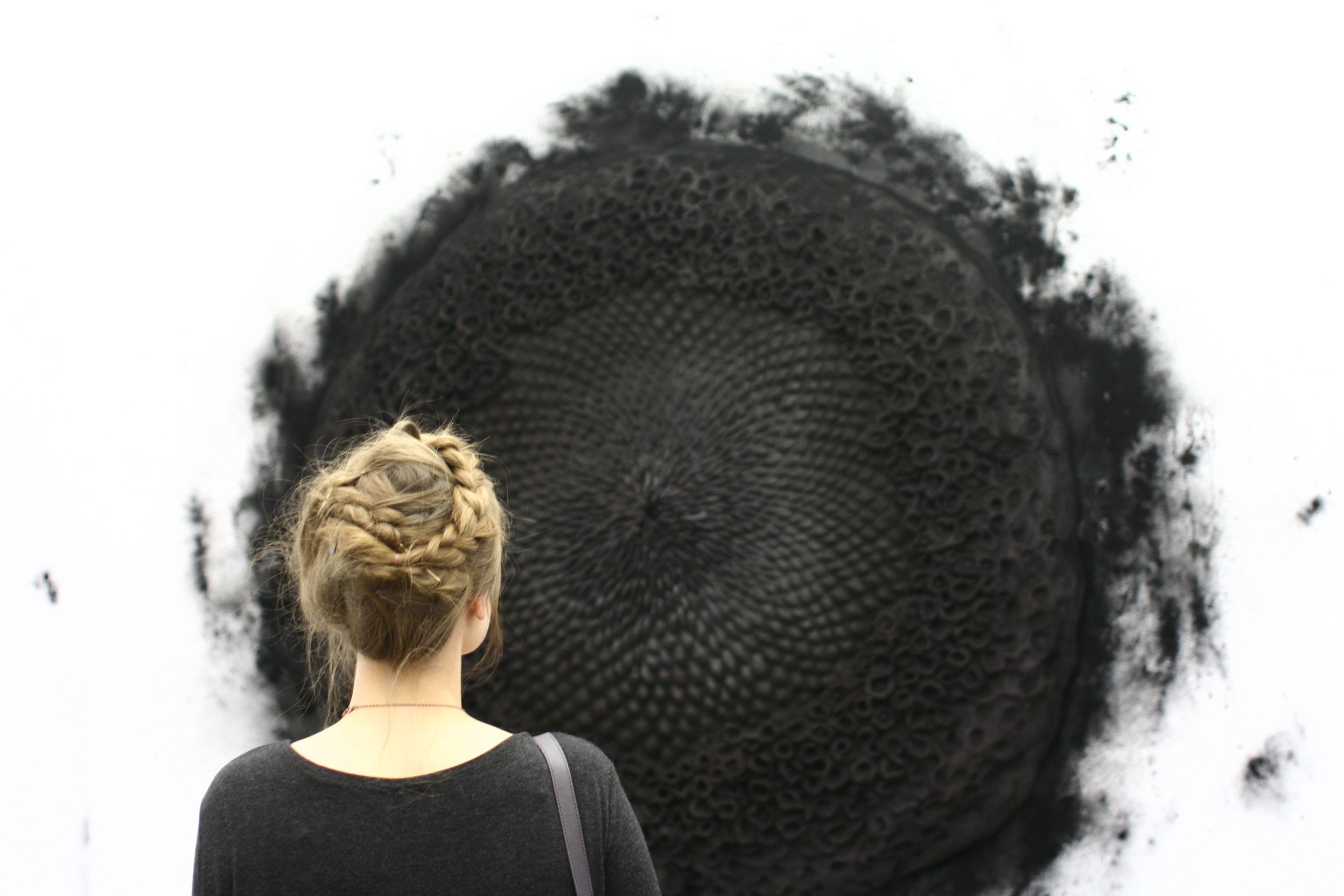 Magdalena Lara, „Obiekt”, 2014, instalacja