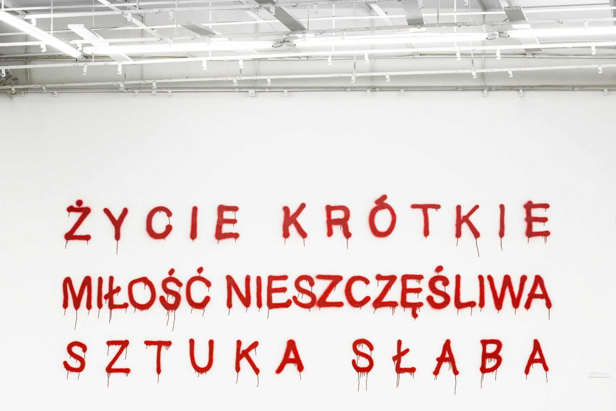 Hubert Czerepok, „Untitled” (ŻYCIE KRÓTKIE, MIŁOŚĆ NIESZCZĘŚLIWA, SZTUKA SŁABA), spray na ścianie, 2014
