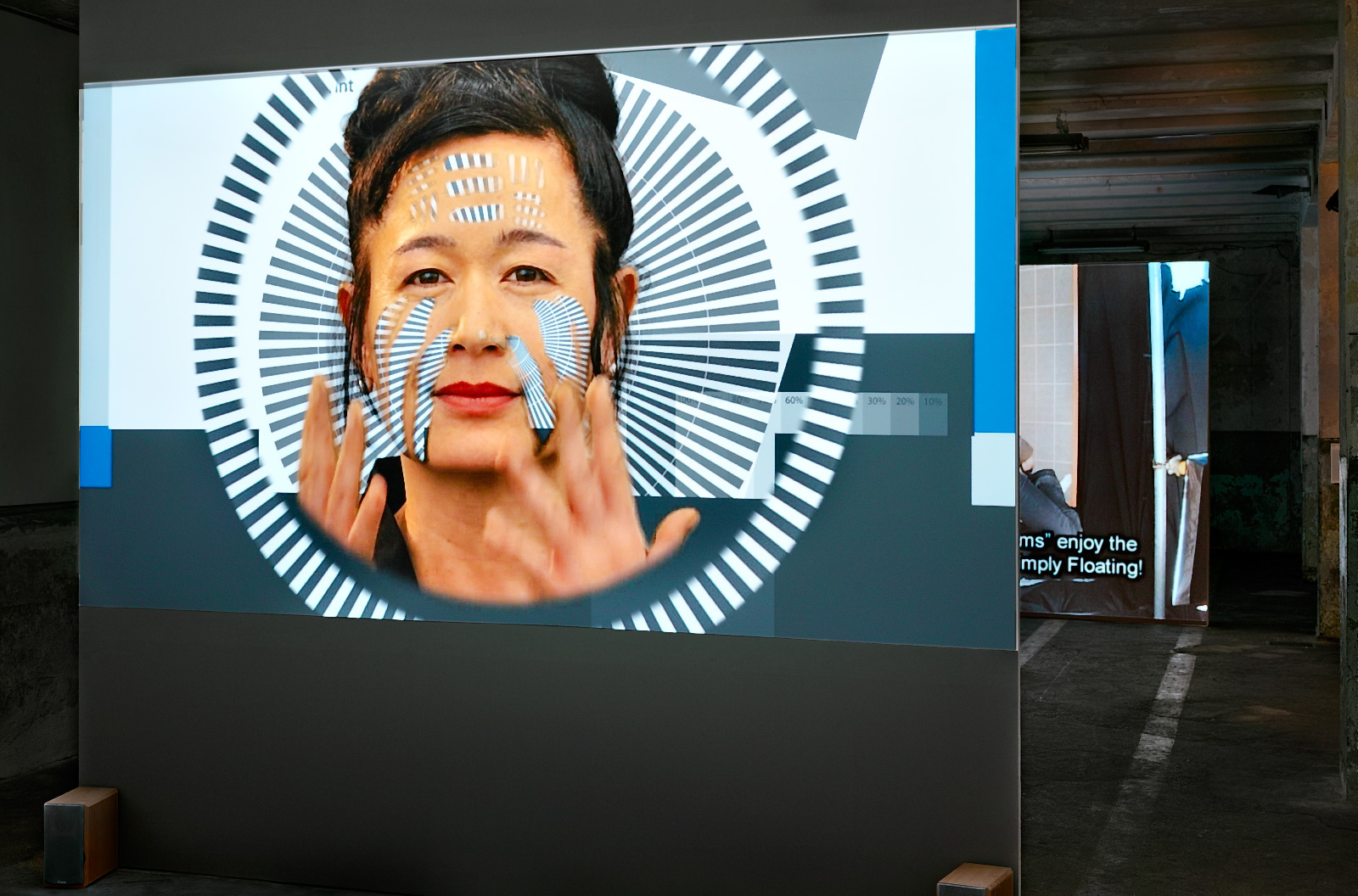 Hito Steyerl, How Not To Be Seen. A Fucking Didactic Educational.MOV File, 2013