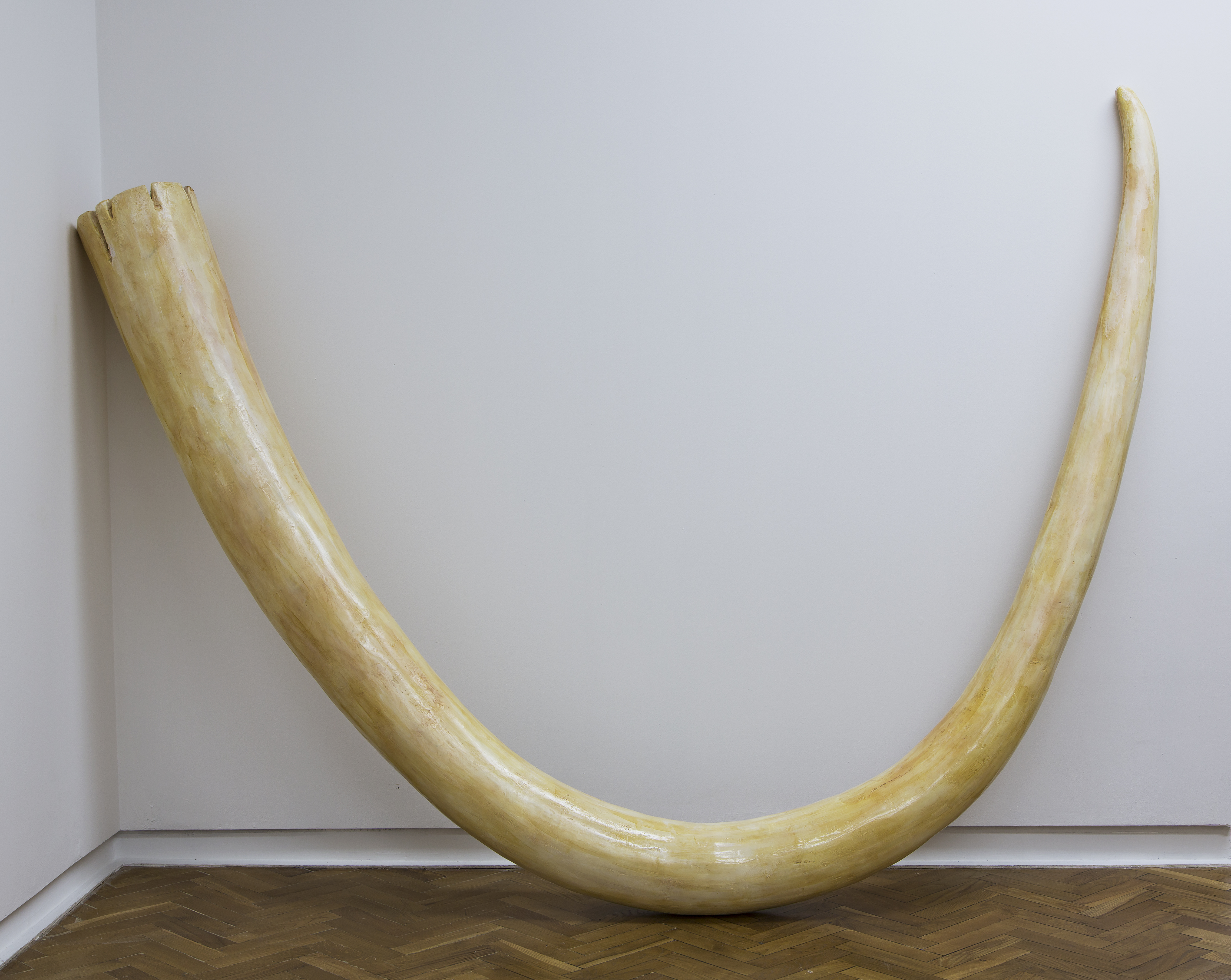 Joanna Malinowska,  Kieł mamuta; Mammoth Tusk, 2015