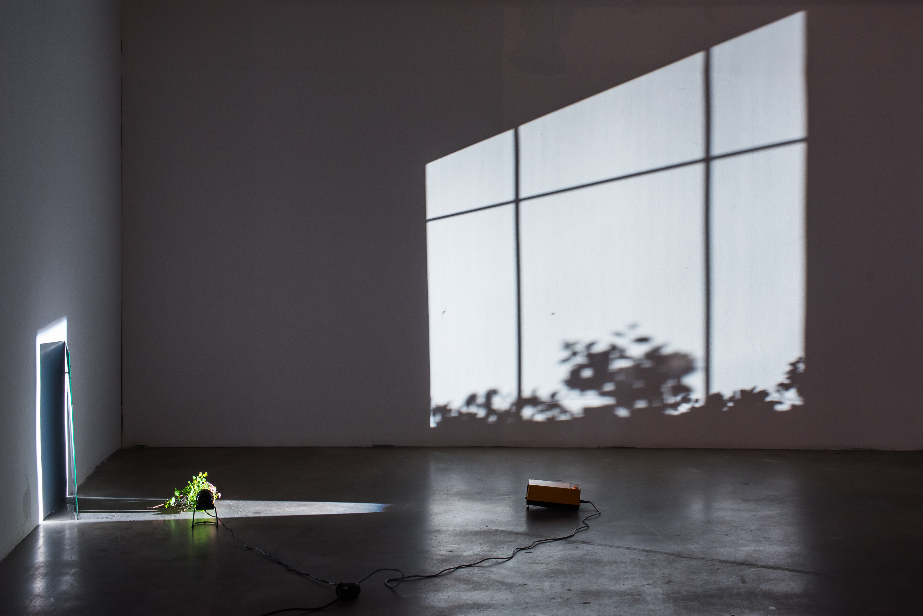 Ulrich Vogl, Okno, 2015, lustro, taśma klejąca, gałęzie, wentylator, źródło światła, zmienne wymiary, wł. artysty