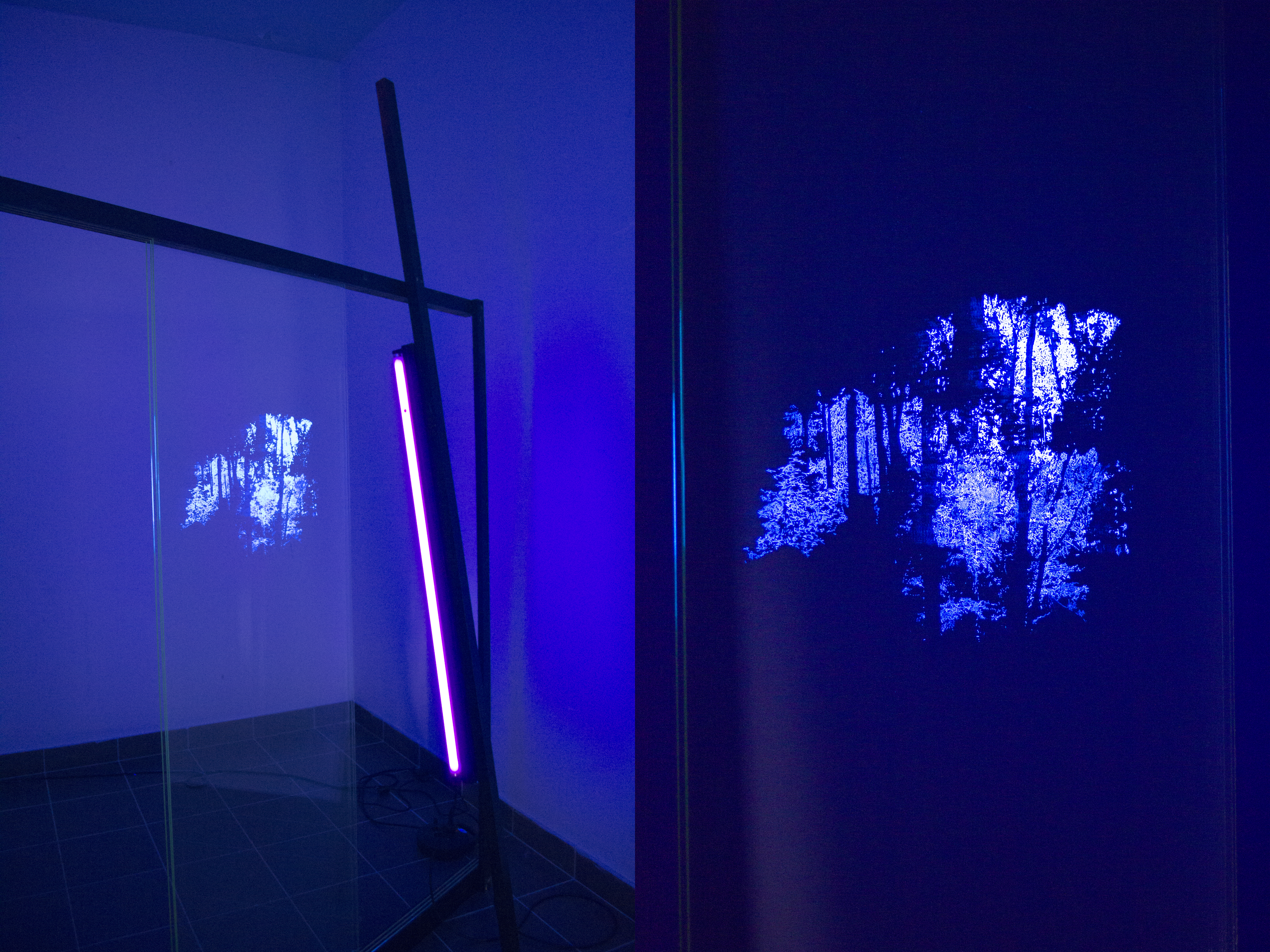 Judith Röder ,Okno IV, 2013, szkło, drewno, światło fluorescencyjne