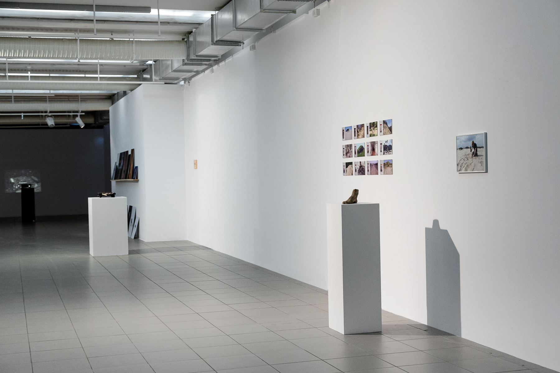 Galeria Sztuki Współczesnej BWA w Katowicach, widok wystawy Mocne stąpanie po ziemi, projekt Rezerwat