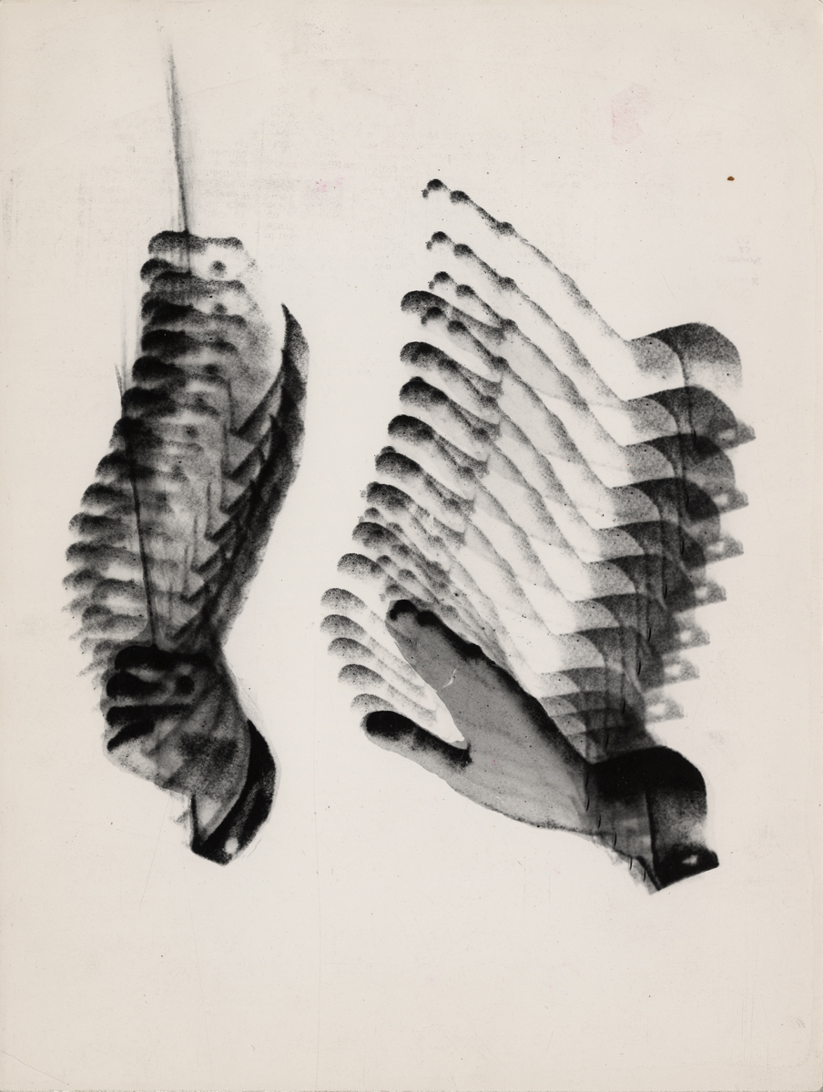 studium do projektu plakatu „Muzyka polska”, 1963, dzięki uprzejmości Fundacji Archeologii Fotografii