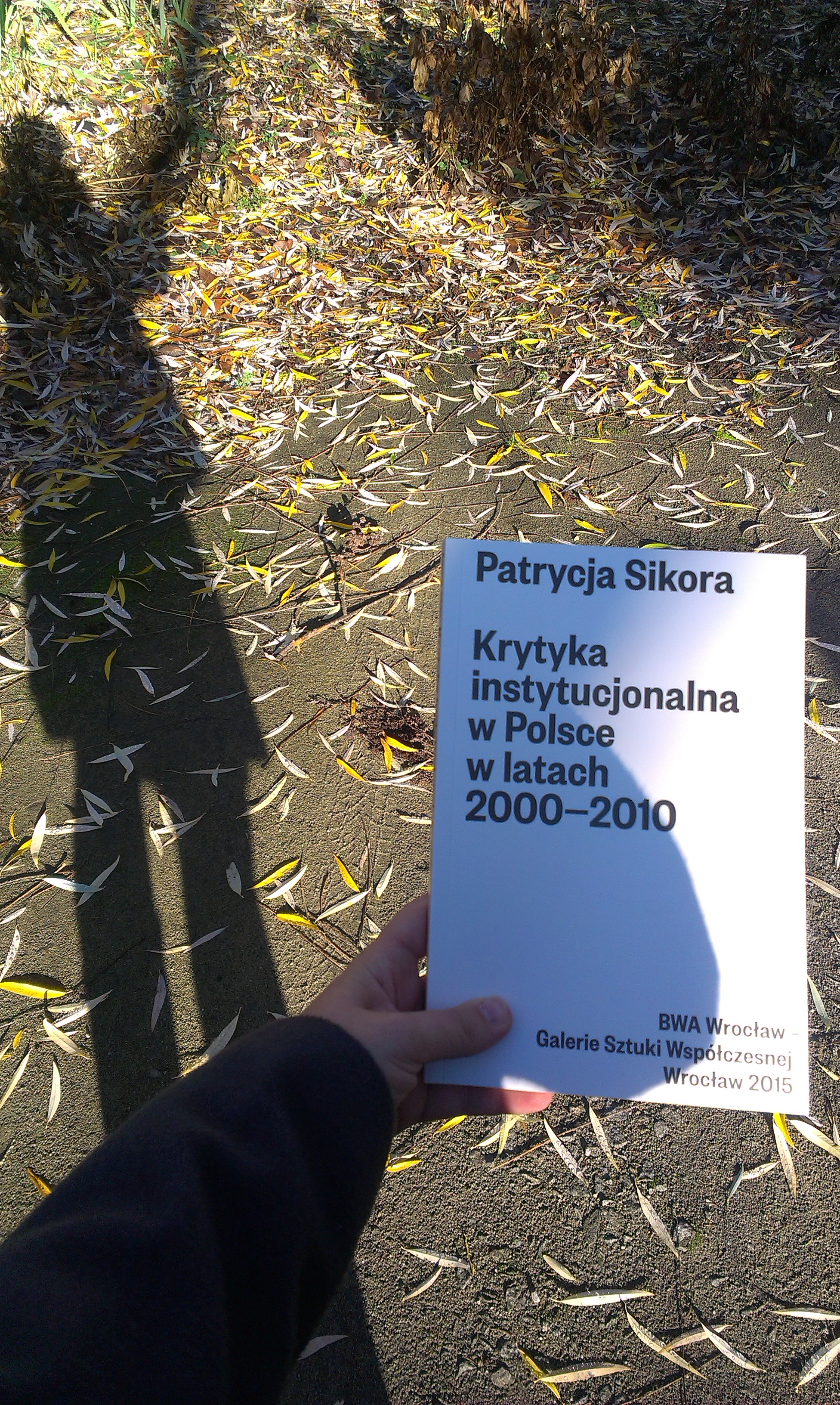 Krytyka instytucjonalna w Polsce w latach 2000-2010, fot. Patrycja Sikora