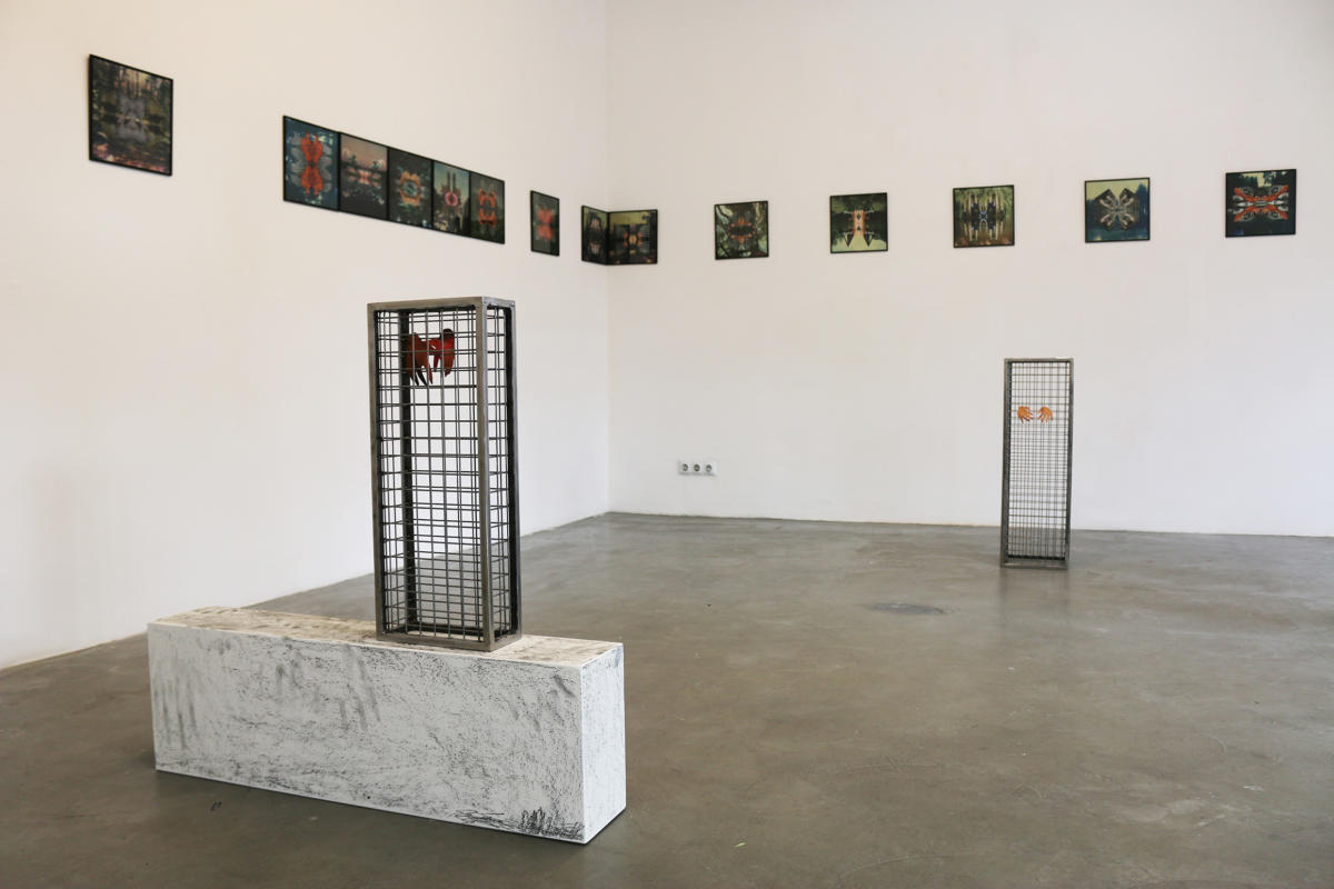 Amanda Wieczorek, Detroit, widok wystawy