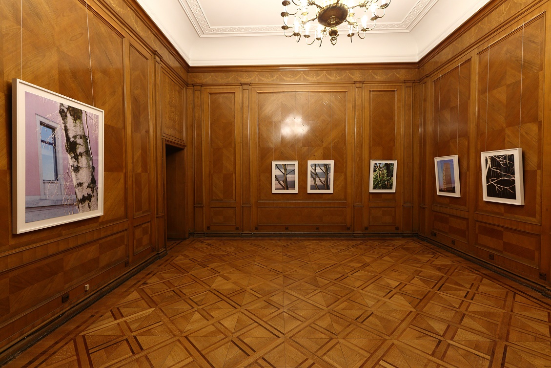 wystawa HEIDI SPECKER_DETAL, Galeria Fotografii pf, Fot.M.Kaczyński © CK ZAMEK (10)