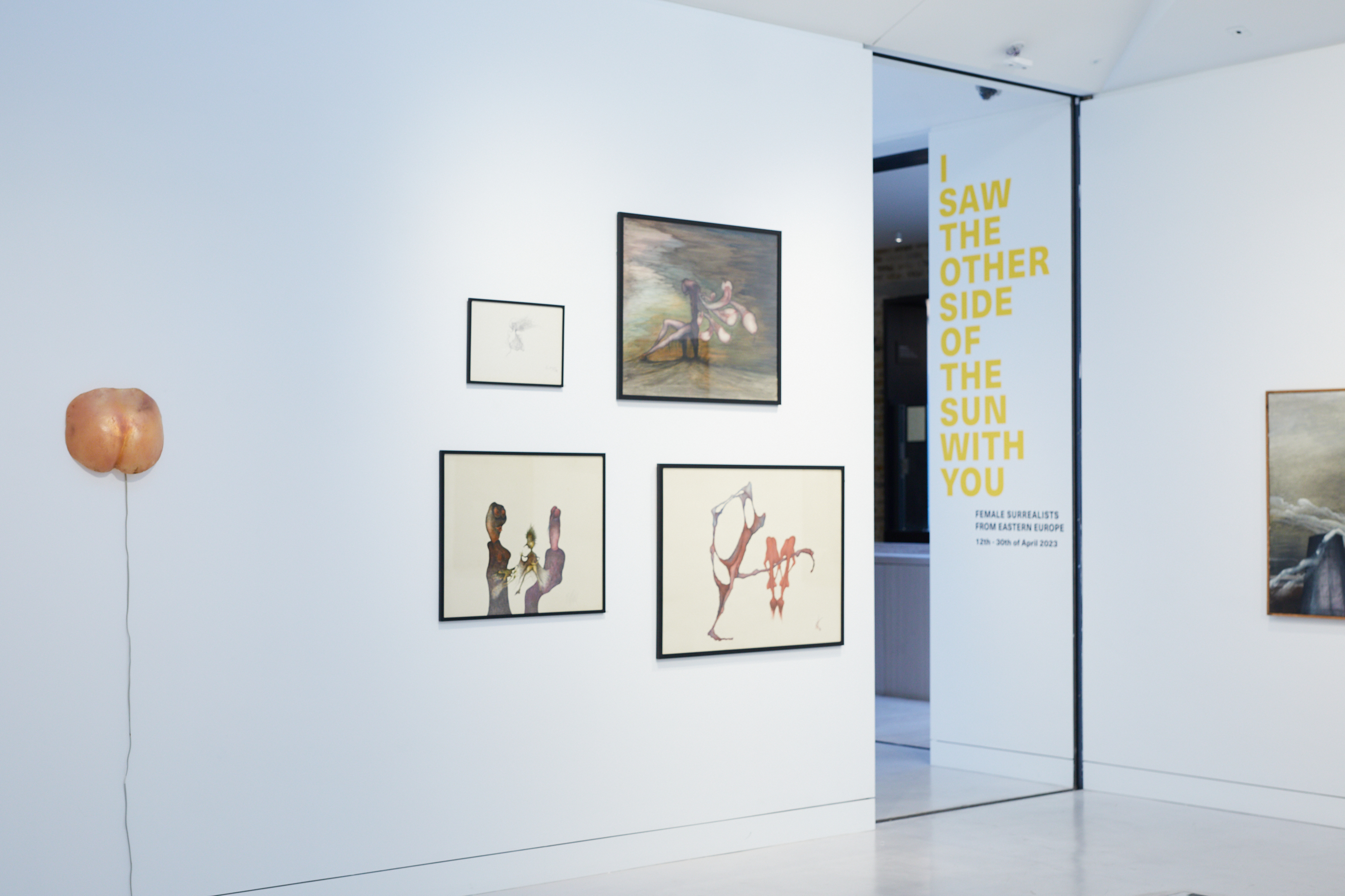 "I saw the other side of the sun with you. Female Surrealists from Eastern Europe" w Cromwell Place w Londynie