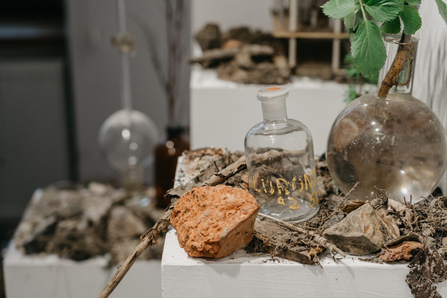 „Republika nasion” Ewy Goral w Biurze Wystaw Artystycznych Krosno