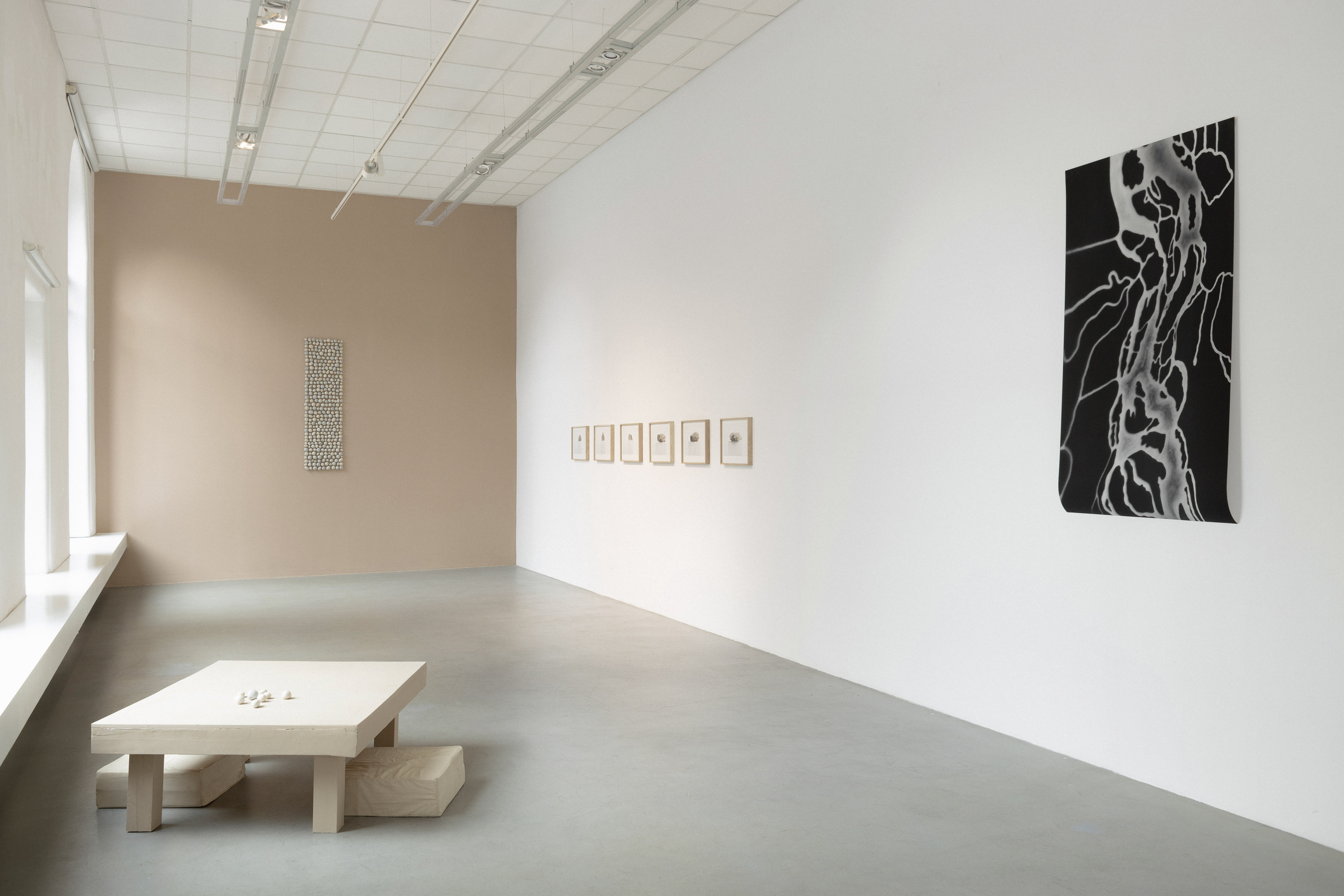 „Riverbeds: Siły przepływu” Anny Kędziory w galerii SIC! BWA Wrocław