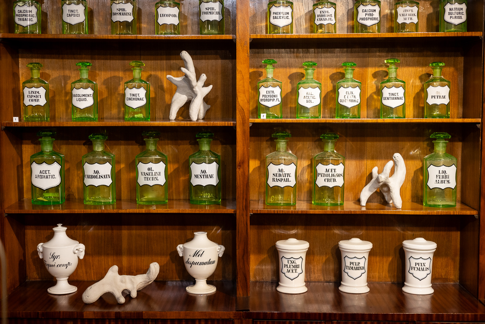 Kobieta w ciele szamana. „Ziółka, drzewka y chróściki“ Agnieszki Brzeżańskiej w Muzeum Farmacji