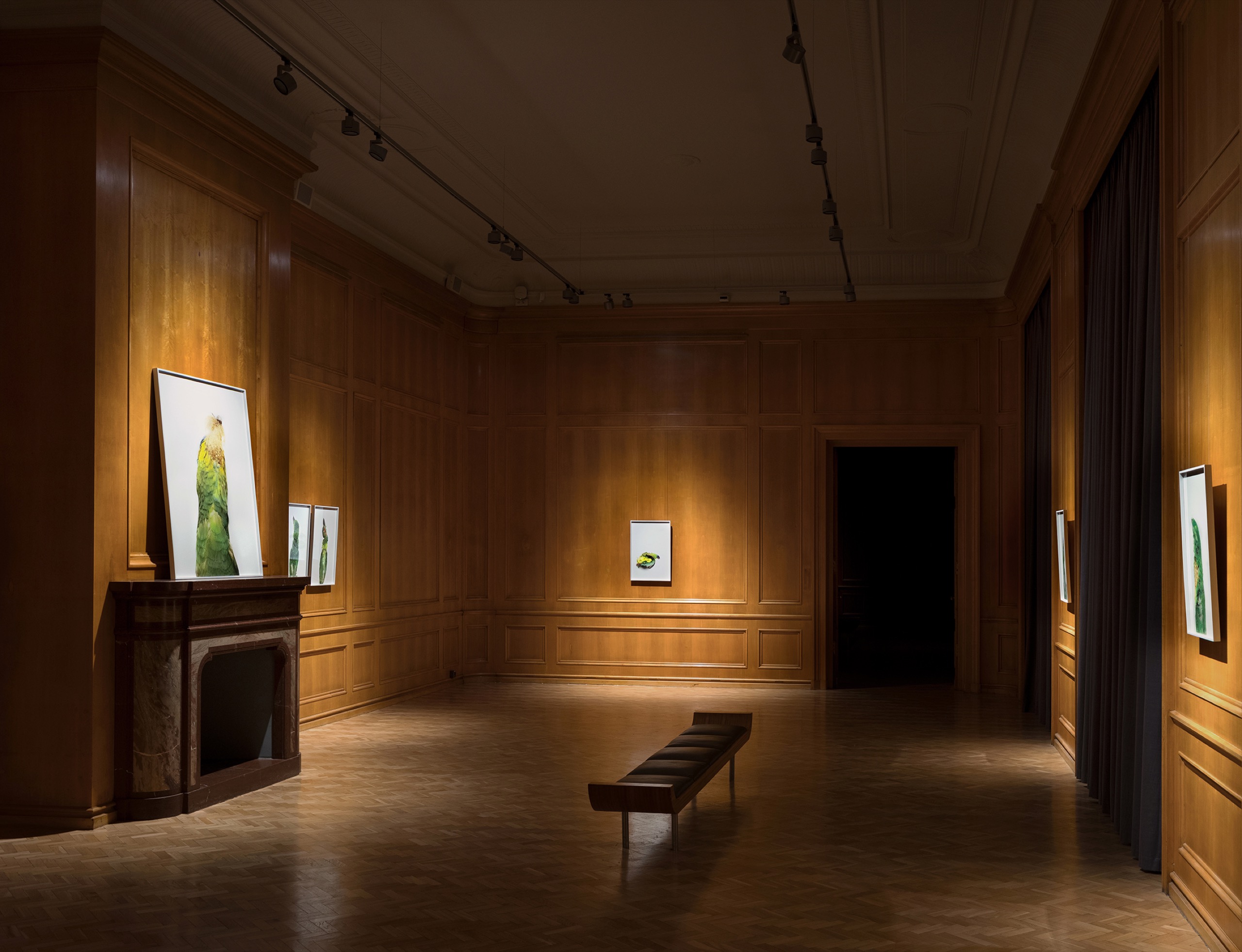 „Gabinet” Anny Kędziory w Centrum Kultury Zamek w Poznaniu