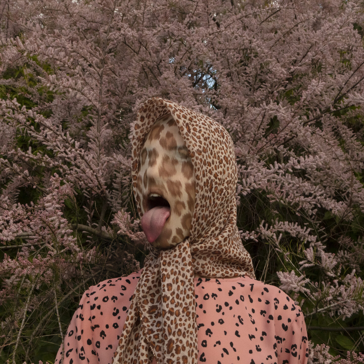 „Kwiato-stany” w MCSW Elektrownia w Radomiu