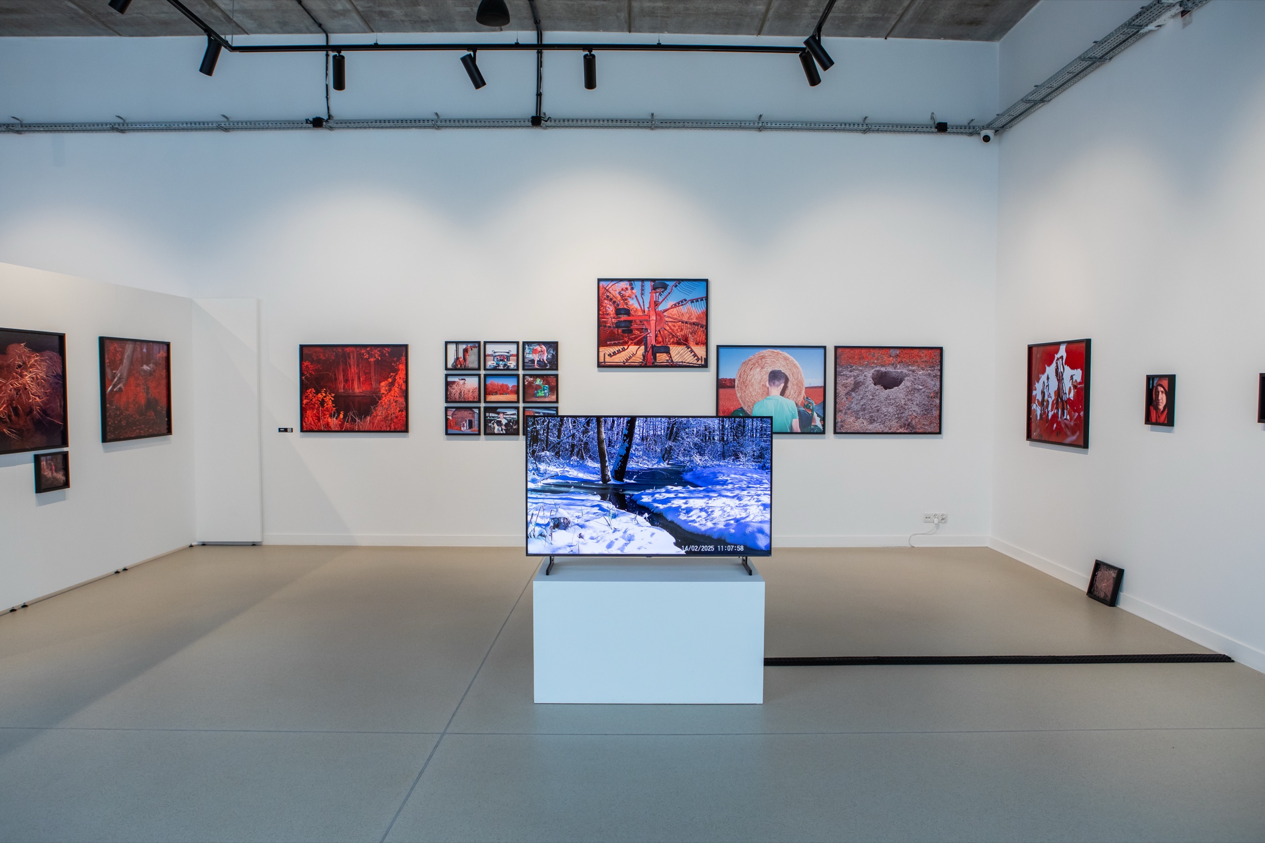 23. Rybnik Foto Festival w Galerii Sztuki Rzeczna w Rybniku